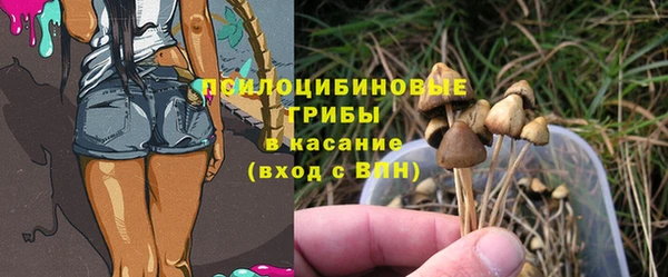 каннабис Инта
