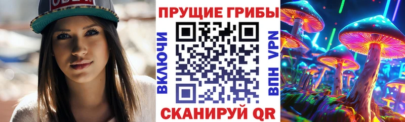 darknet Telegram  Старый Оскол  Псилоцибиновые грибы прущие грибы  мега ТОР 