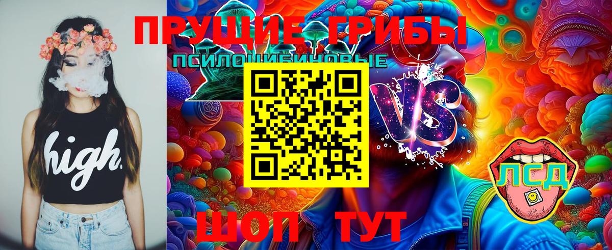 Галлюциногенные грибы Psilocybe  Псилоцибиновые грибы прущие грибы  Вход с VPN  Старый Оскол 