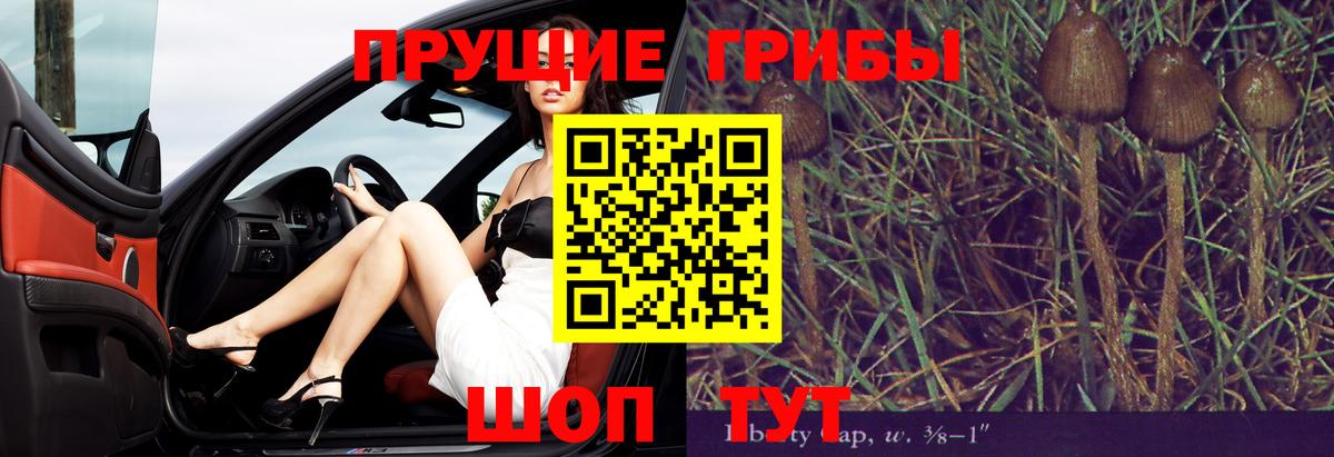 Псилоцибиновые грибы Psilocybe Старый Оскол